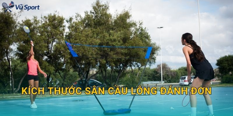 Kích Thước Sân Cầu Lông Đánh Đơn: Vạch Biên, Ô Giao Cầu Và Cách Phân Biệt Với Đánh Đôi