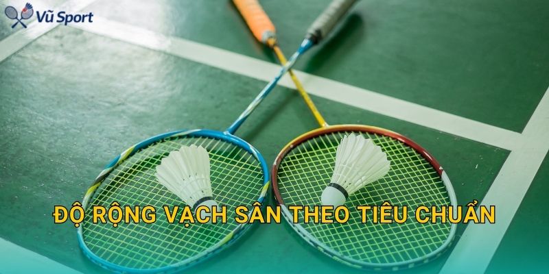 Độ rộng vạch sân theo tiêu chuẩn