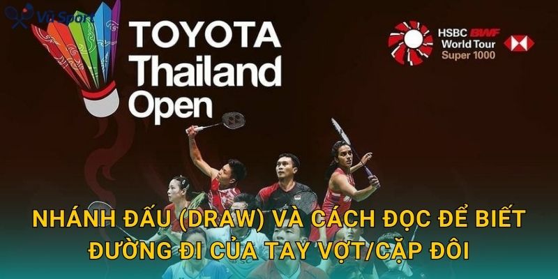 Nhánh đấu (draw) và cách đọc để biết đường đi của tay vợt/cặp đôi