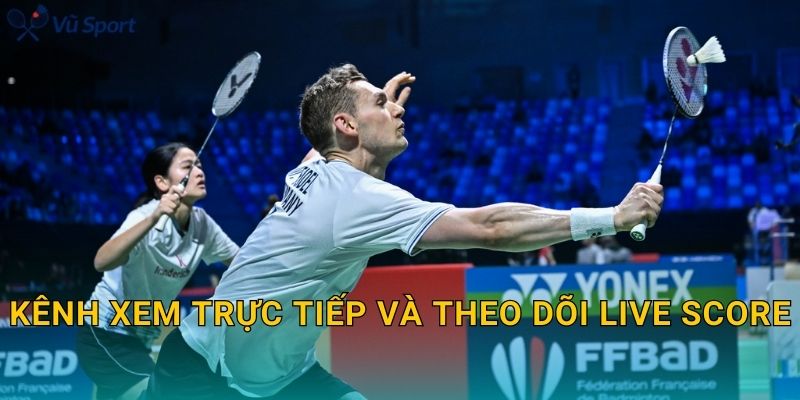 Kênh xem trực tiếp và theo dõi live score