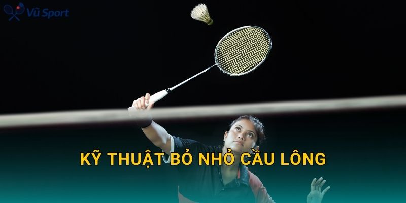 Kỹ Thuật Bỏ Nhỏ Cầu Lông: Drop Shot Sát Lưới, Rơi Ngắn Và Khó Đỡ