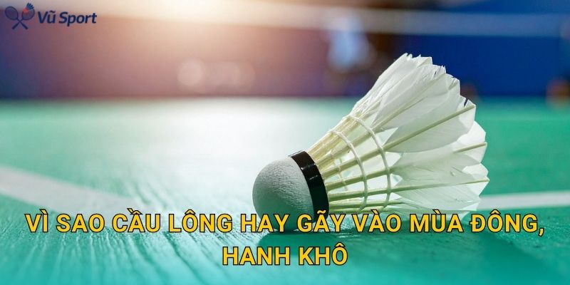 Vì sao cầu lông hay gãy vào mùa đông, hanh khô